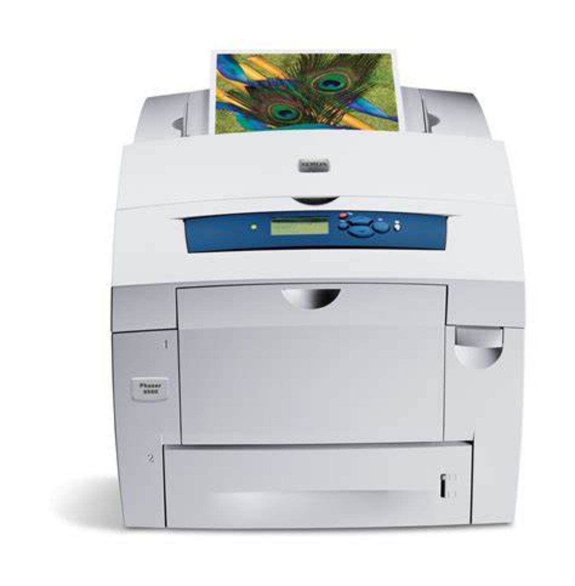 X8560.jpg