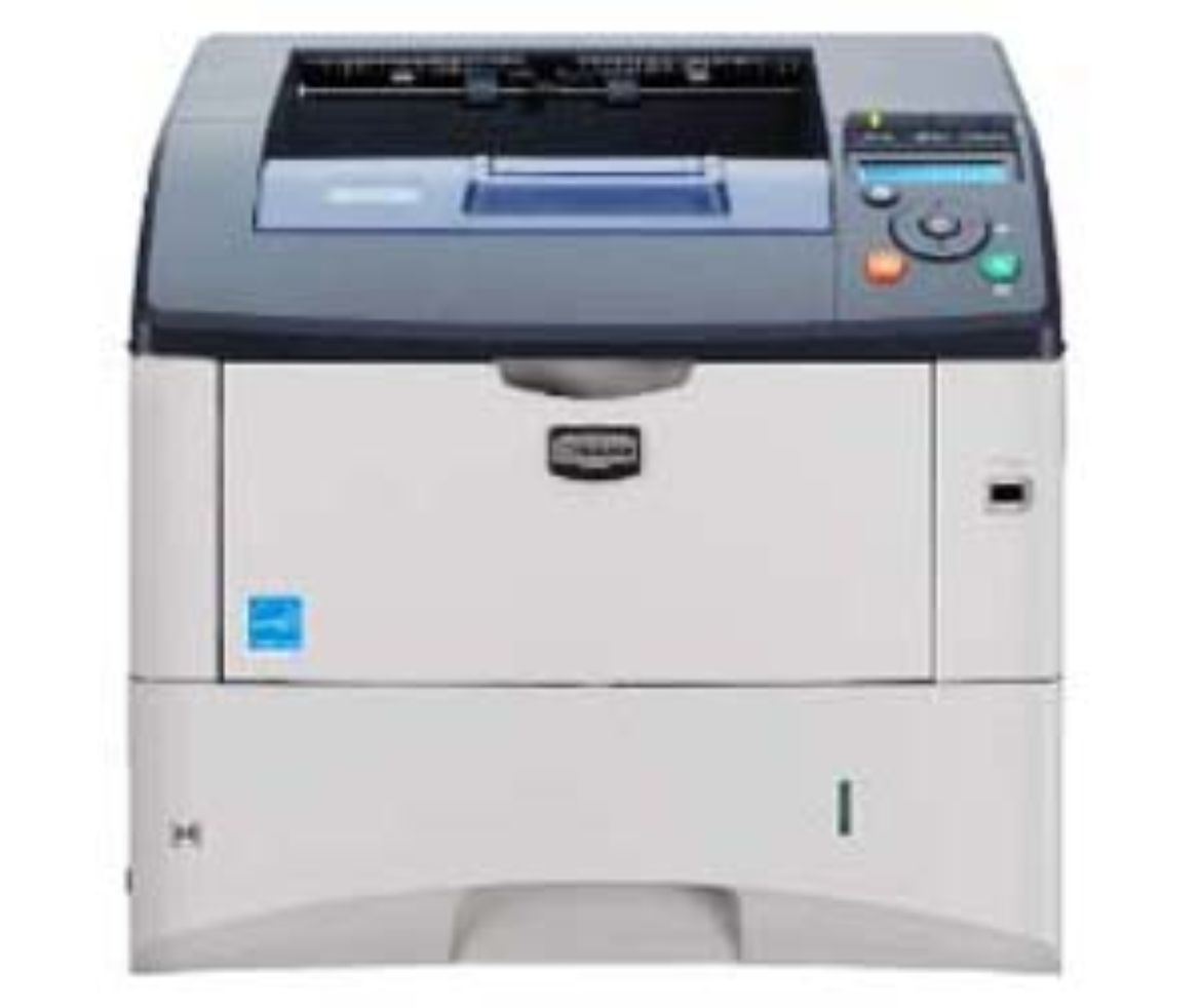 FS3920.jpg