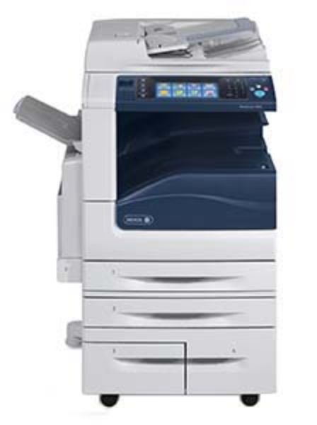 WC7835.jpg